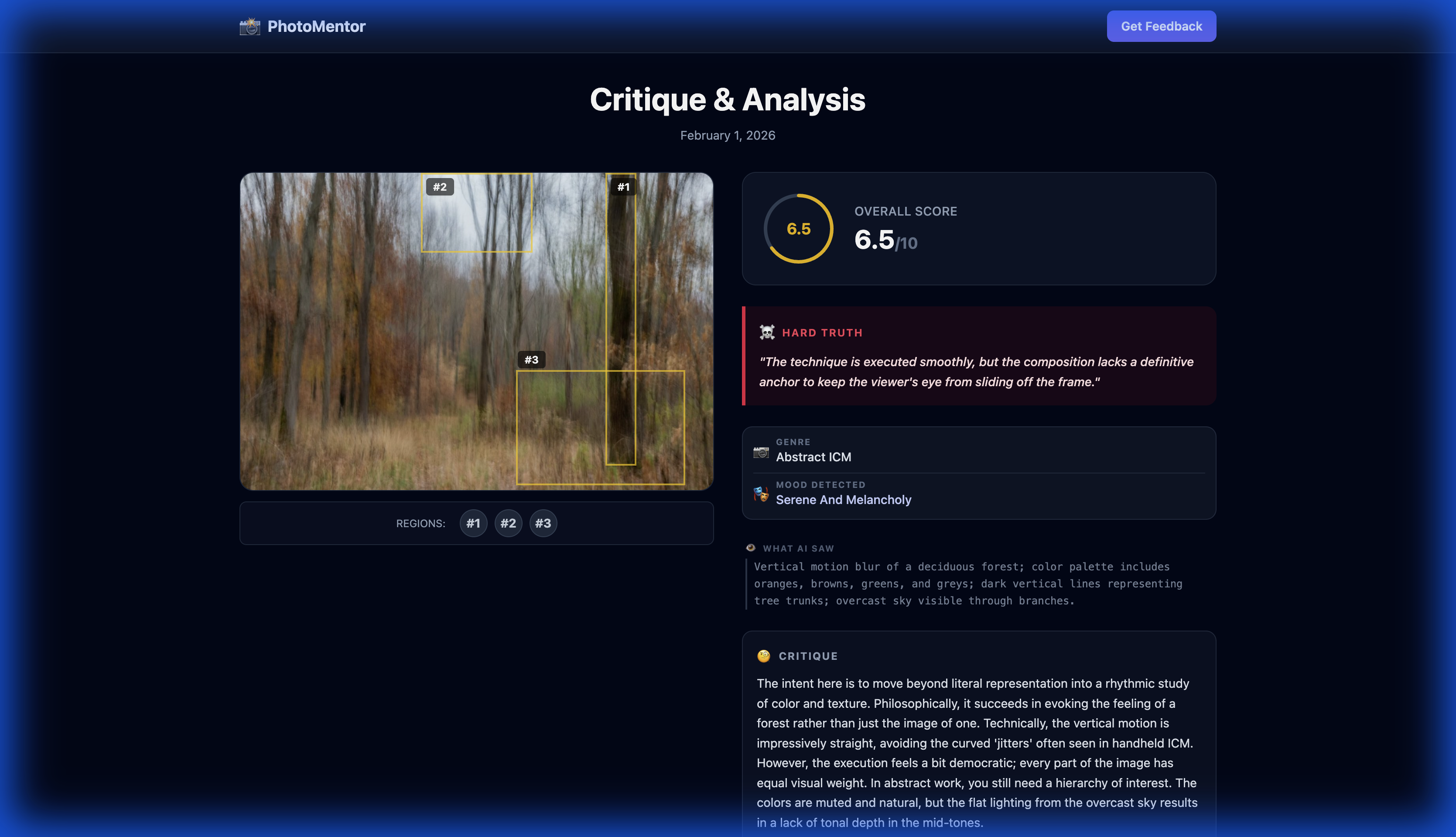 AI Photo Critique - Abstract ICM Analysis