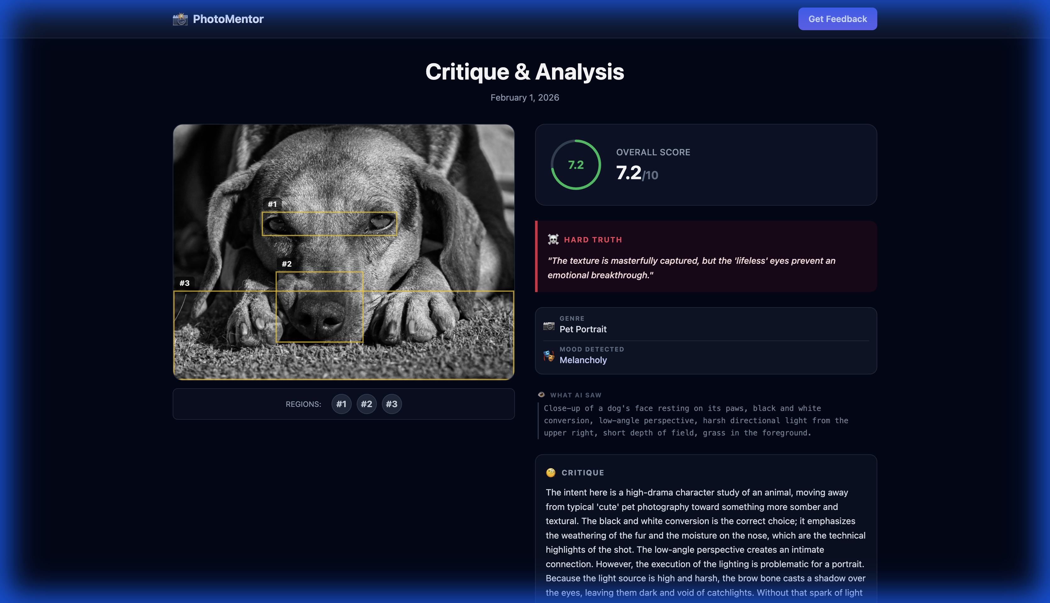 AI Photo Critique - Pet Portrait Analysis